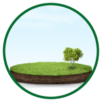 DTCP approved Plots in Tiruvallur, DTCP approved Plots in Chennai, Plots for Sale, Approved Plots in Tiruvallur, Plots in Tiruvallur , Residential plots in Tiruvallur, Plots for Sale in Tiruvallur, Residential plots in Tiruvallur, premium plots in Tiruvallur, Township Plots in Tiruvallur